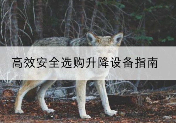 米易升降货梯厂家推荐-*安全选购升降设备指南