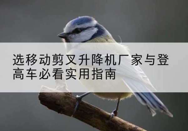 米易电动升降机厂家-选移动剪叉升降机厂家与登高车必看实用指南